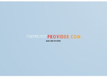 Have you ever heard of SMM Panels before? Well, Here’s “Theperfectprovider”