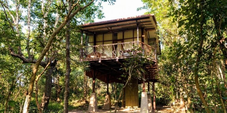 Jungle Camps India Wins Prestigious John Wakefield Memorial Award for Most Inspirational Eco Lodge of the Year 2024