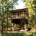 Jungle Camps India Wins Prestigious John Wakefield Memorial Award for Most Inspirational Eco Lodge of the Year 2024